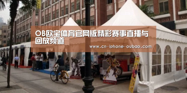案例标题九