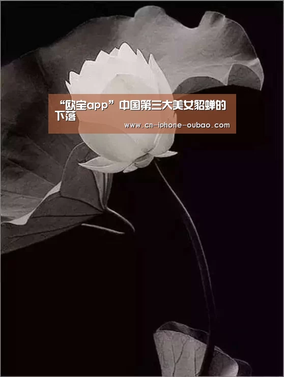 “欧宝app”中国第三大美女貂蝉的下落(图2) 欧宝电竞